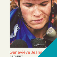 La cassure - Numérique