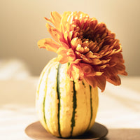 Mes carnets de saison : automne-hiver - Imparfait